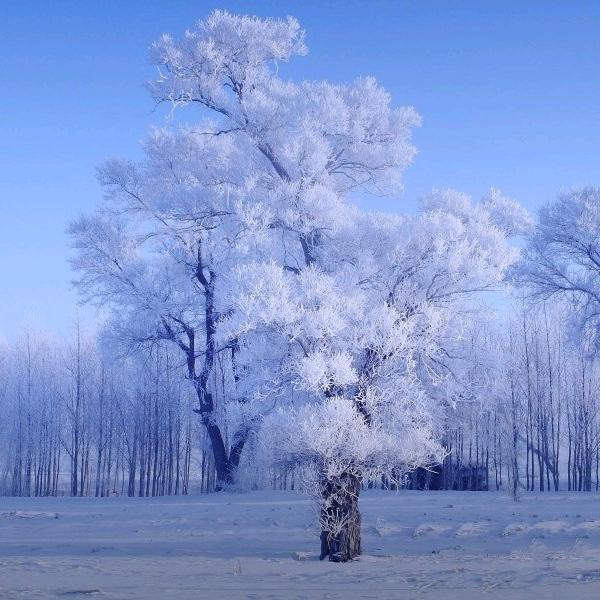 🚬ℒᎭℯ孤独🥂与酒༄꫟