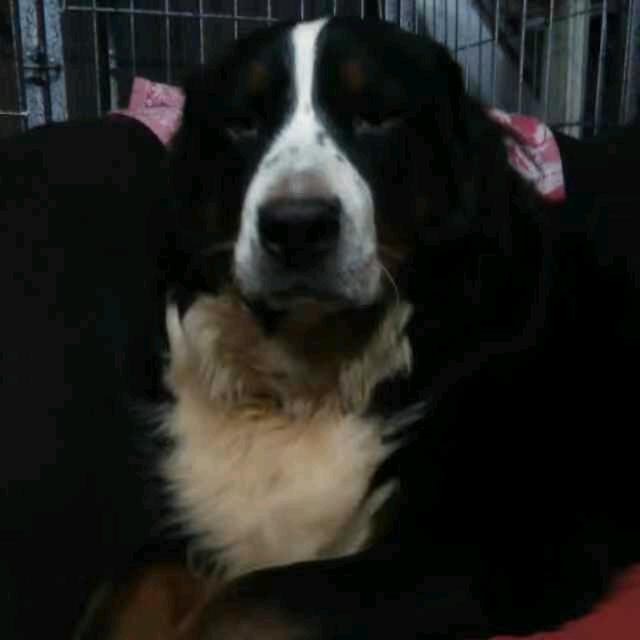 小七妈（早上七点十分）