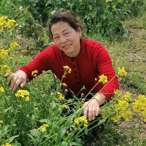 龙猫猫