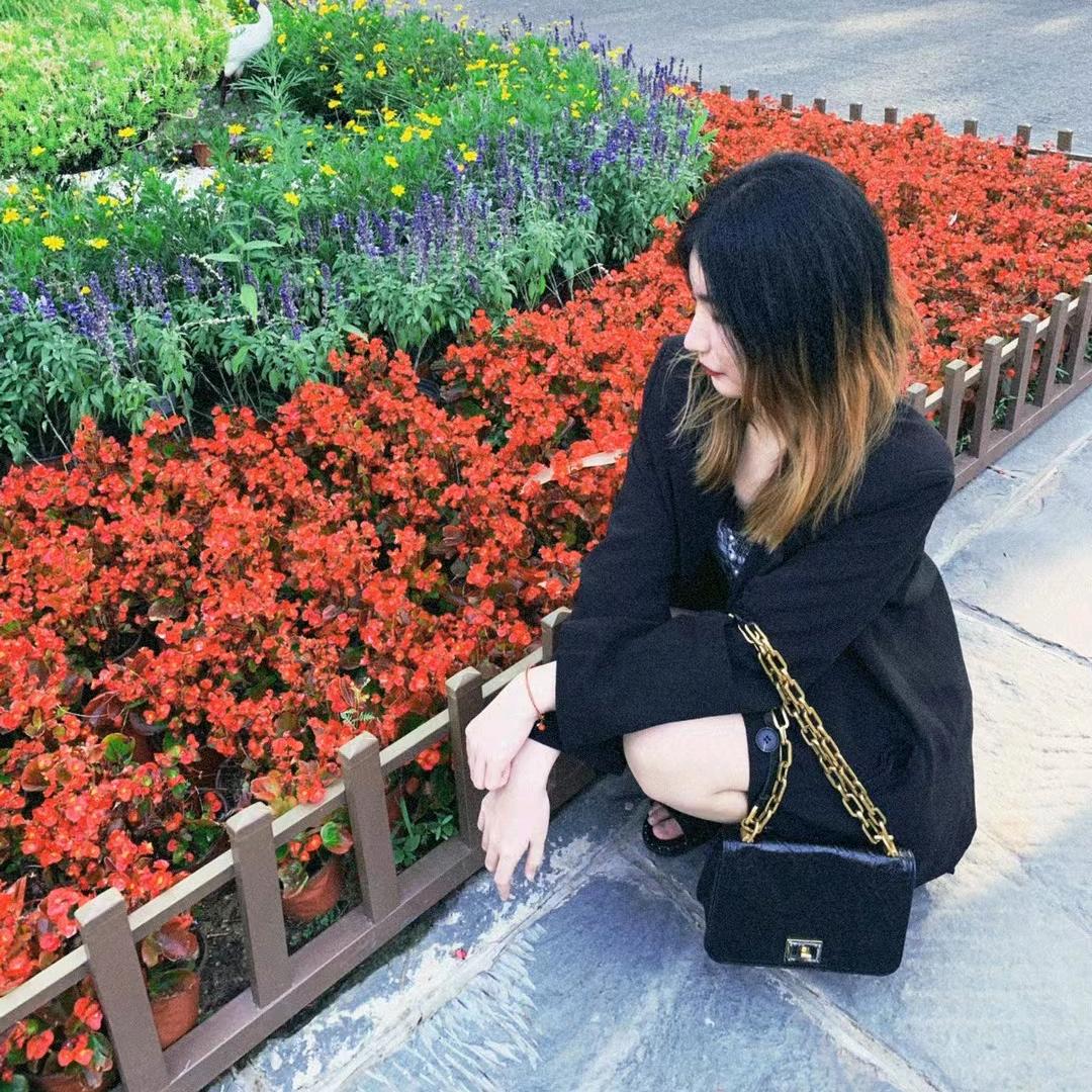 澳洲📚小晨