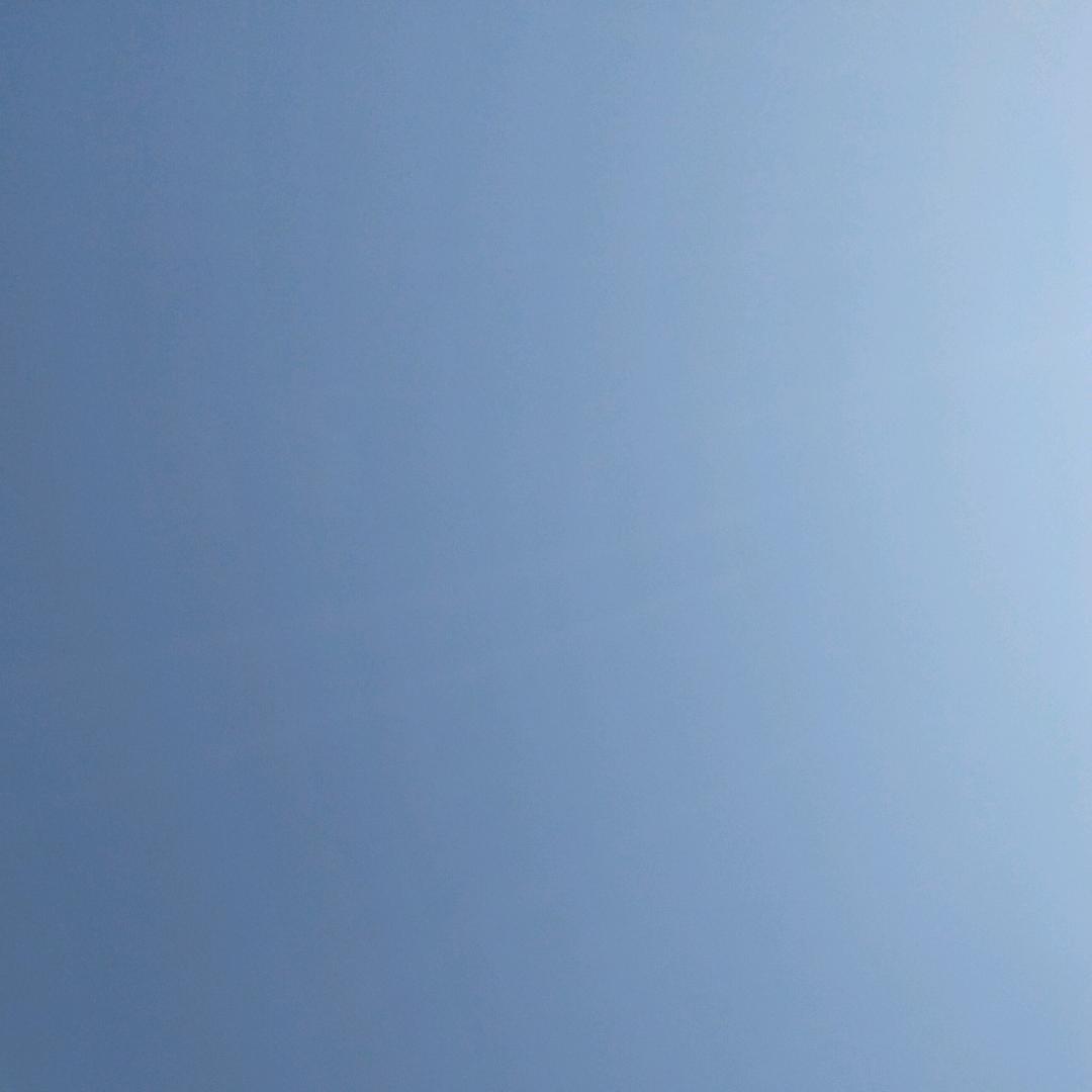 老八