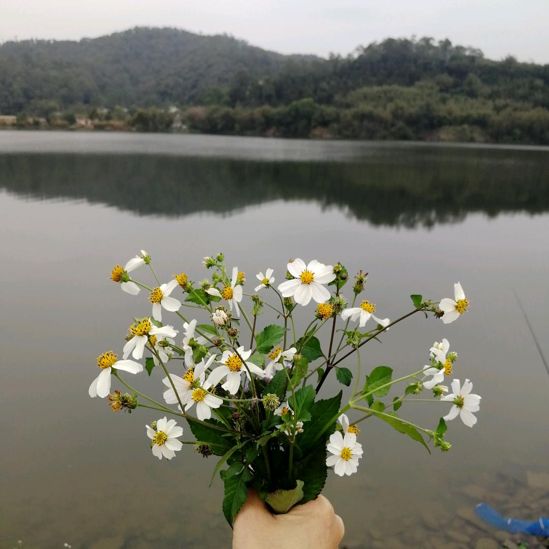 小fan