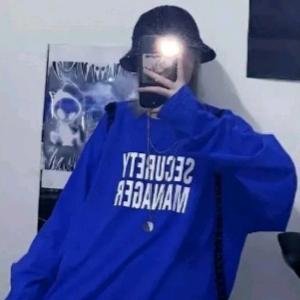 摘星且揽月