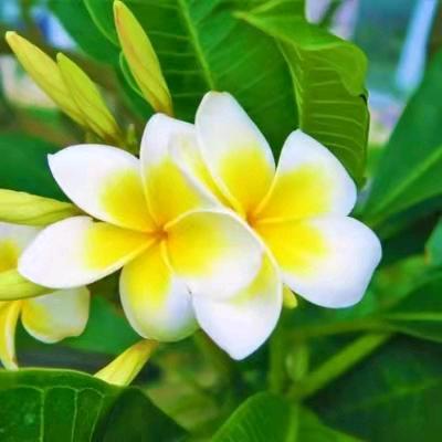 乐享泰办公家具店