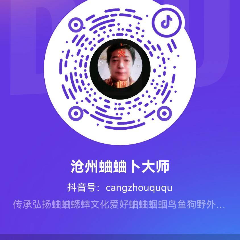 沧州蛐蛐卜大师