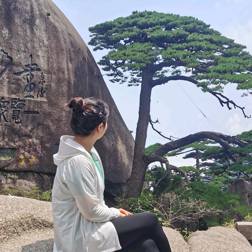 芸芸