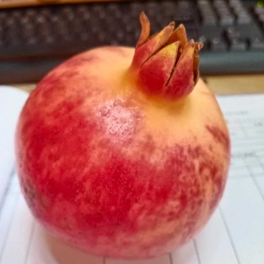 汪汪