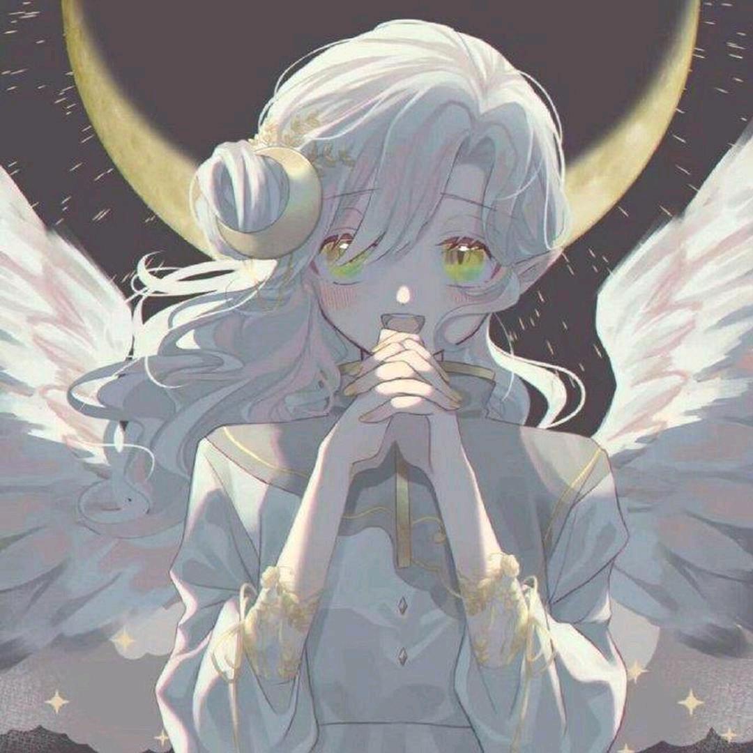 沫熙.
