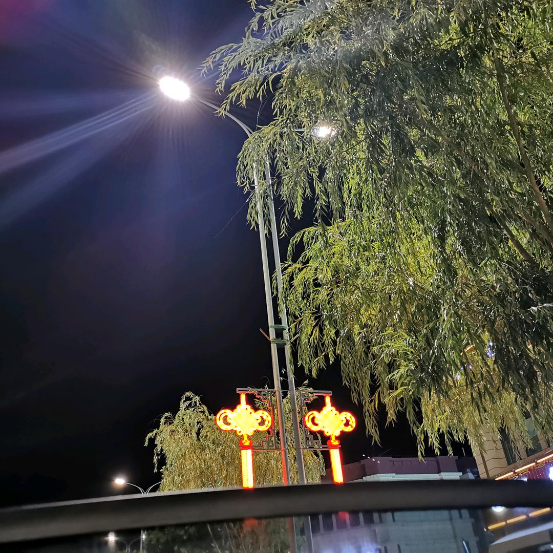 桑旦🌴🌴🌴
