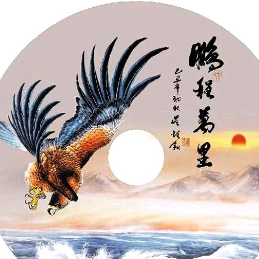 鹏 程 万 里