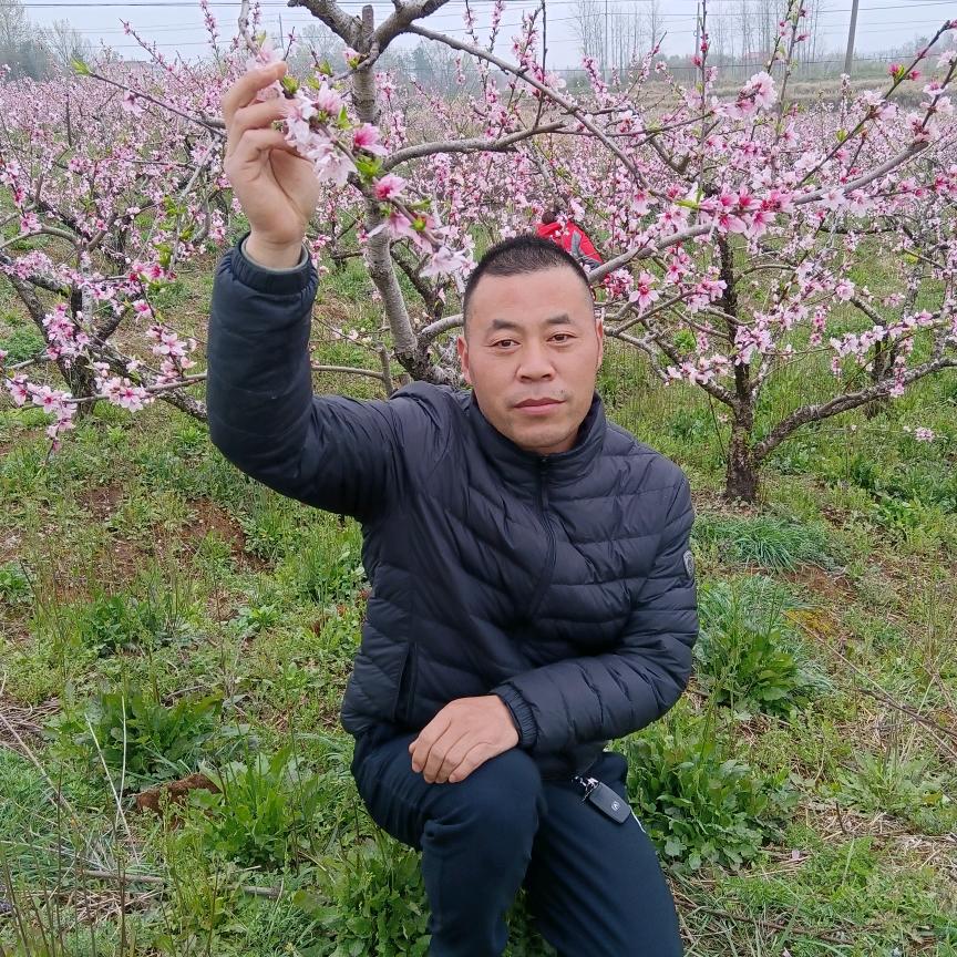 分享遮阳网