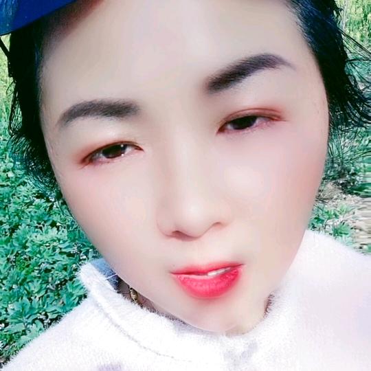 灿烂设计