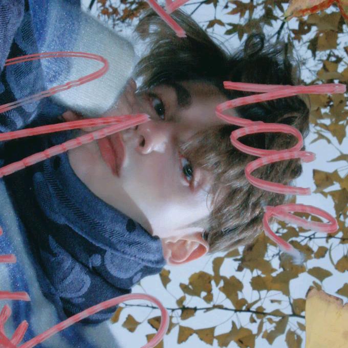 呐，给你小花花