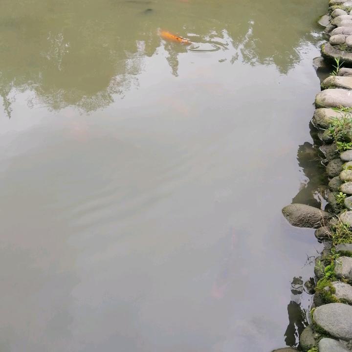 .用：，NFF寒i一.