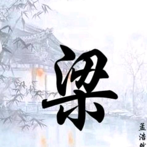 追枫少年