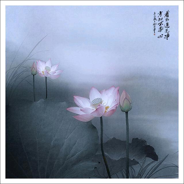 G216 民丰 自驾客栈