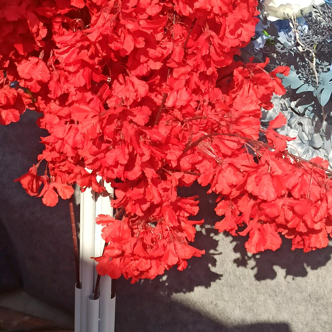 金银花