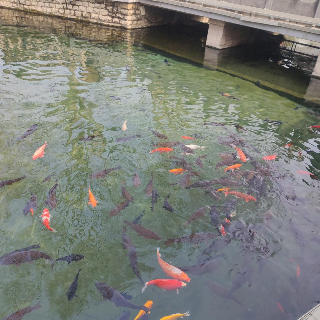 用户高山流水