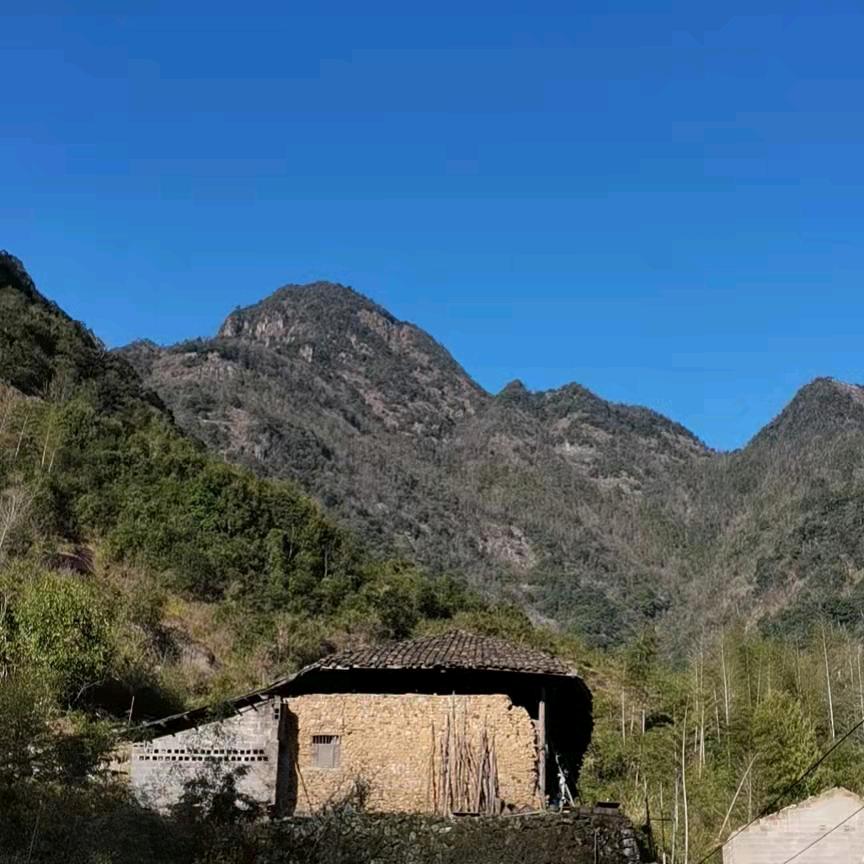 大家有个好心情