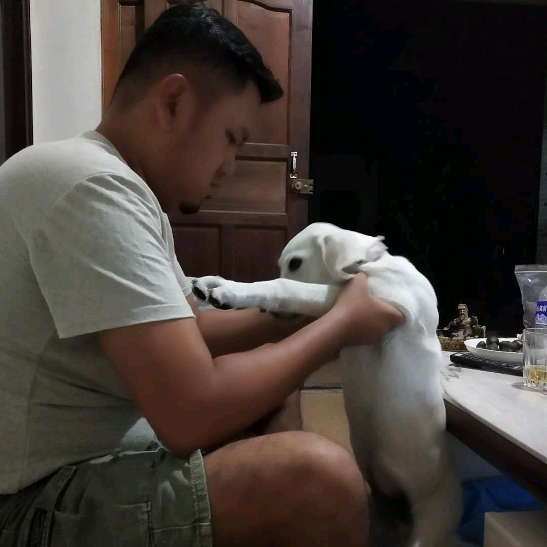 黑  人
