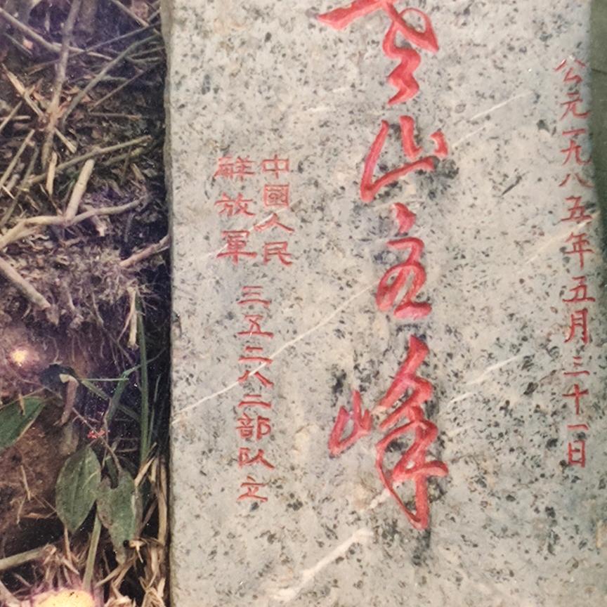济宁老山兰