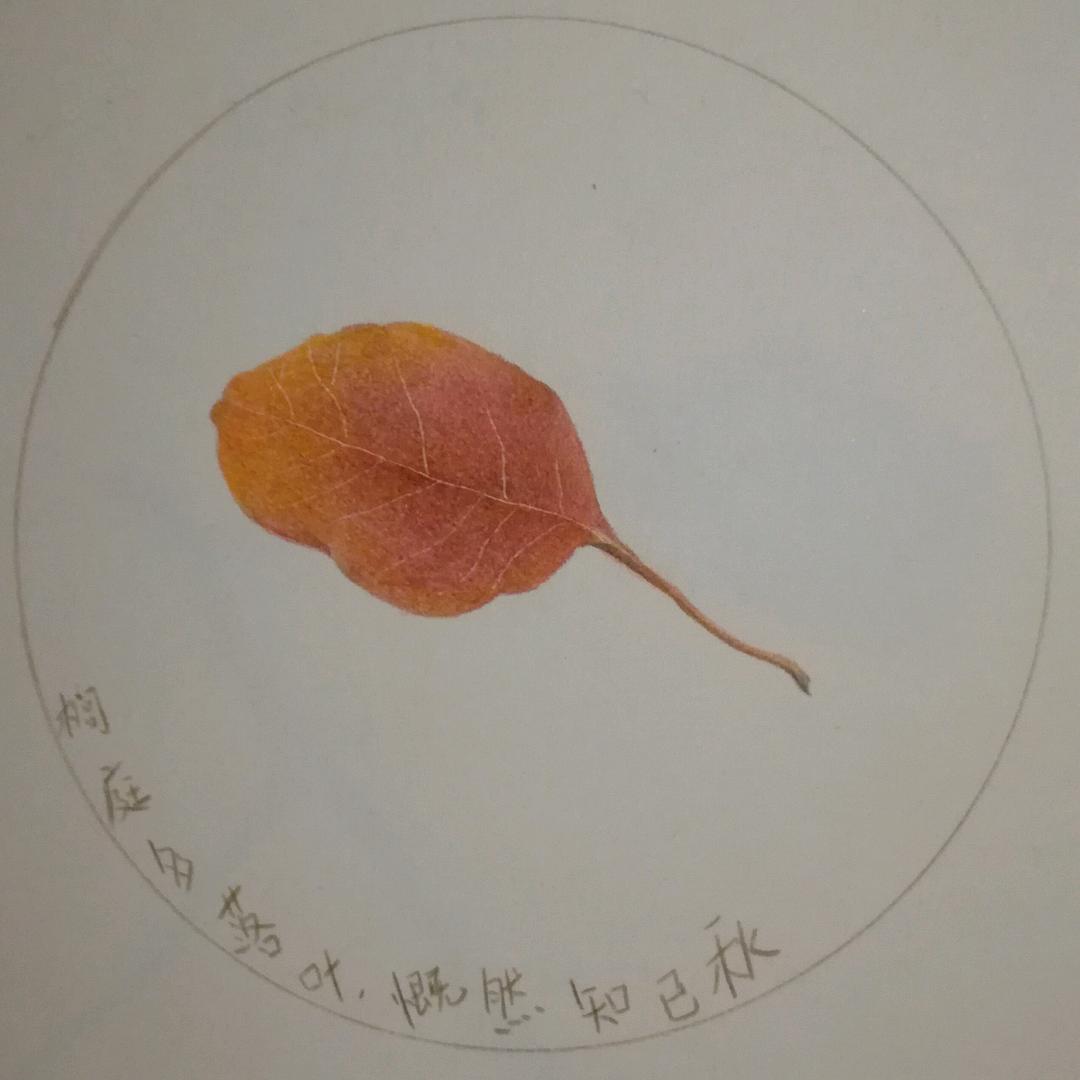 踏雪无痕