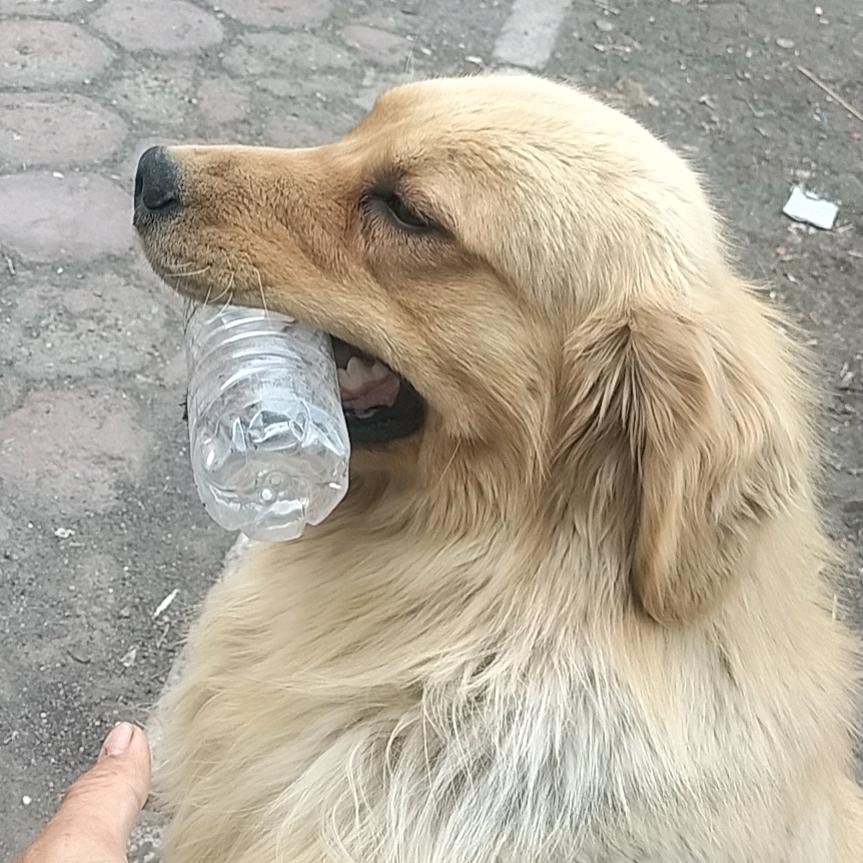 我自横刀向天笑