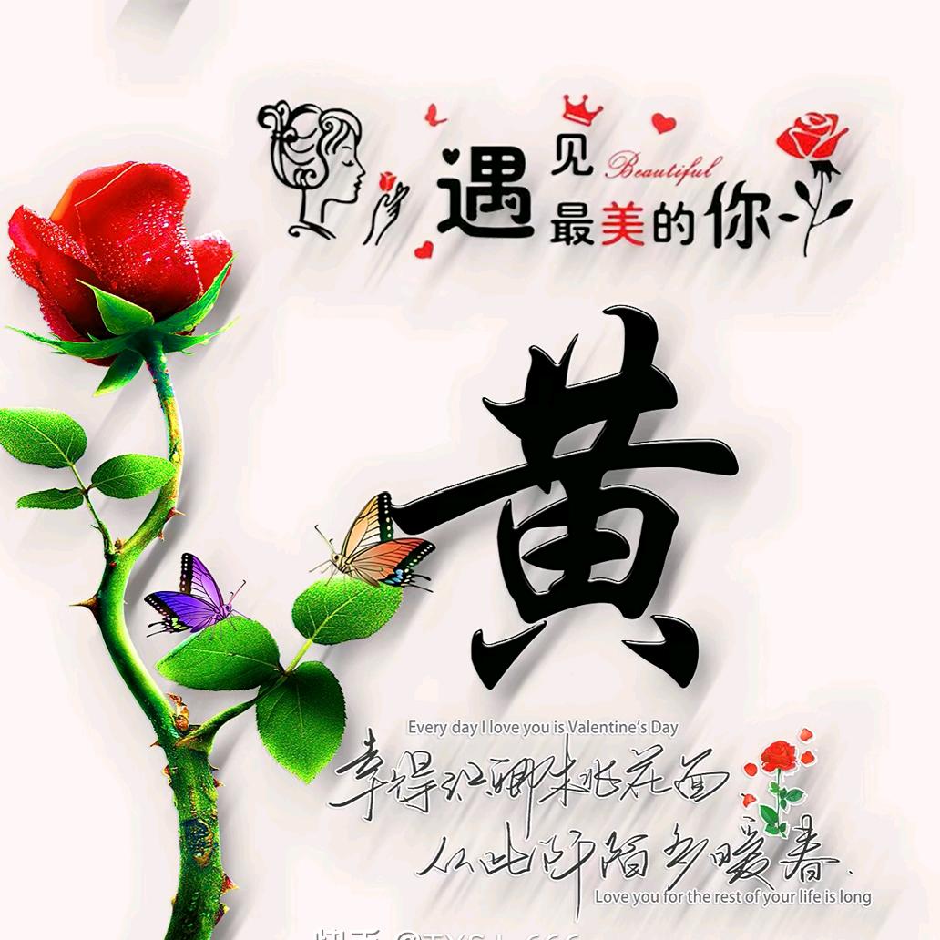 你的未来我不再参与