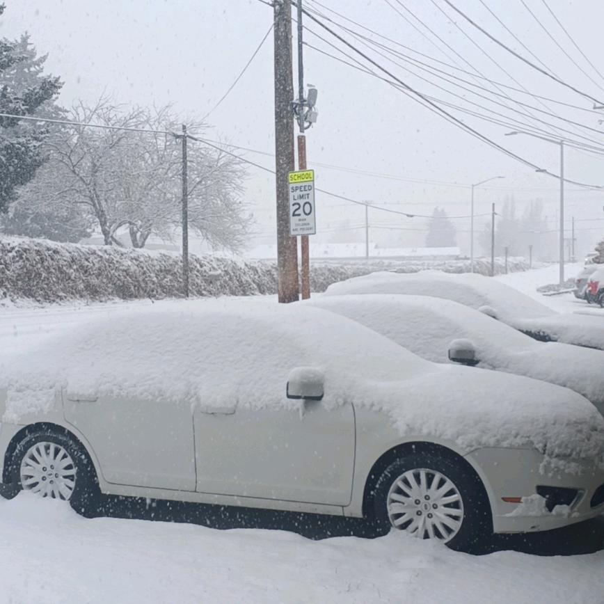 🇨🇳北漂的杨🇺🇸