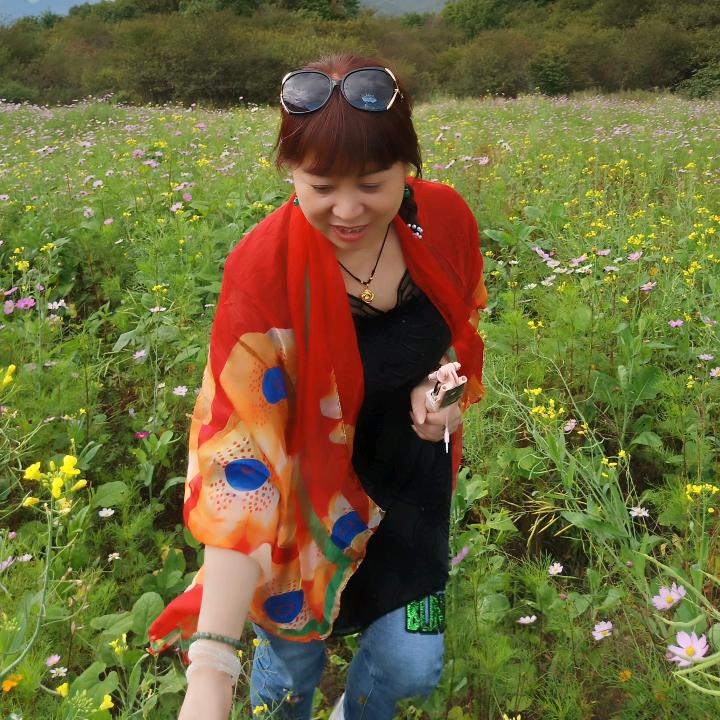 杨杨