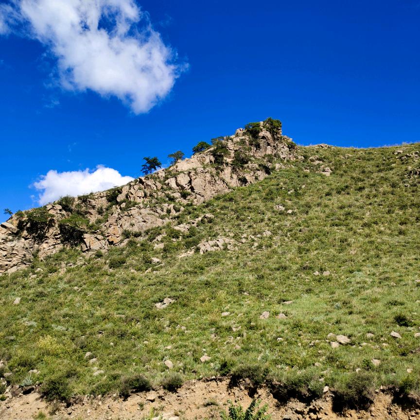 内蒙古中舜防水工程有限公司