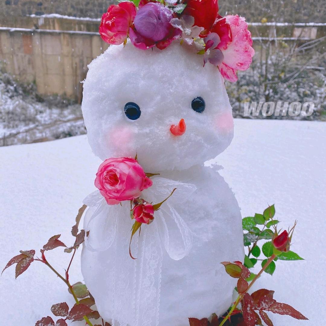 花开🌸
