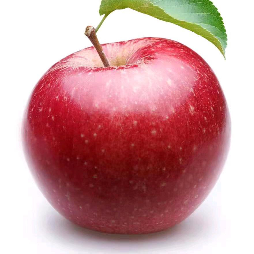 辉哥用户7230360248878