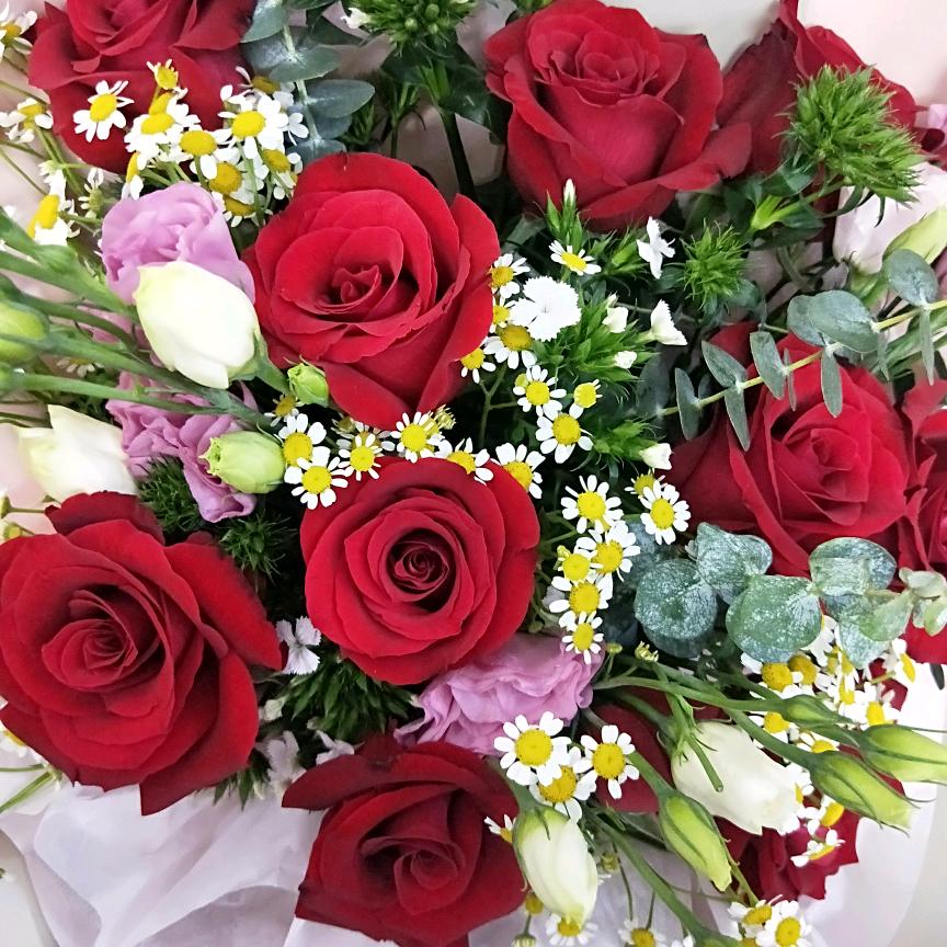 生活小助手(=^▽^=)