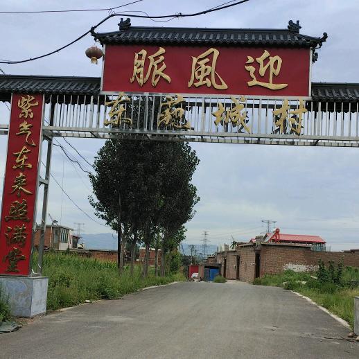 一棵红红的心