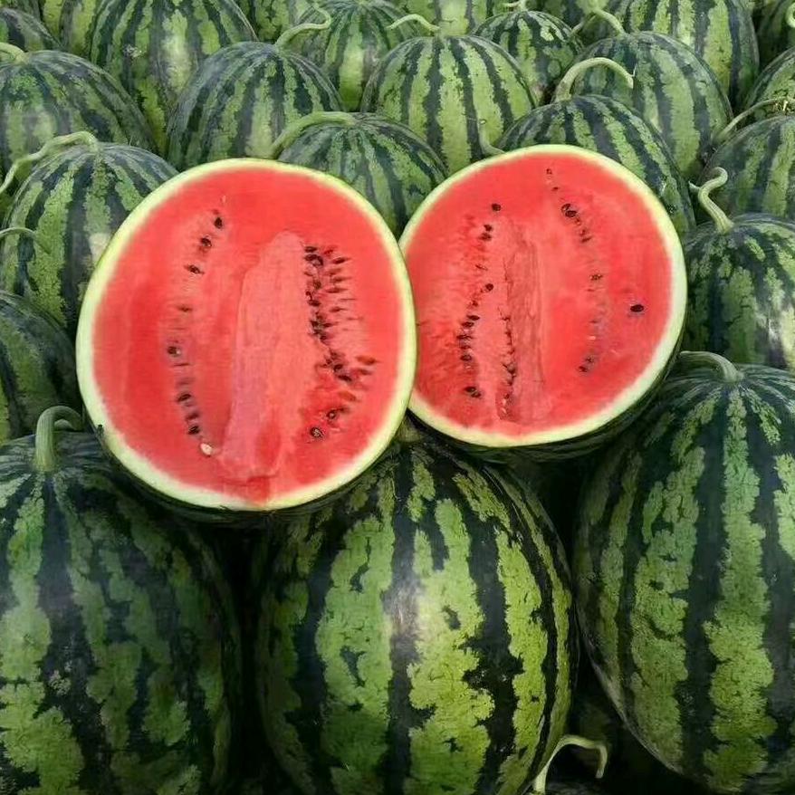 全国西瓜代发代收刘总