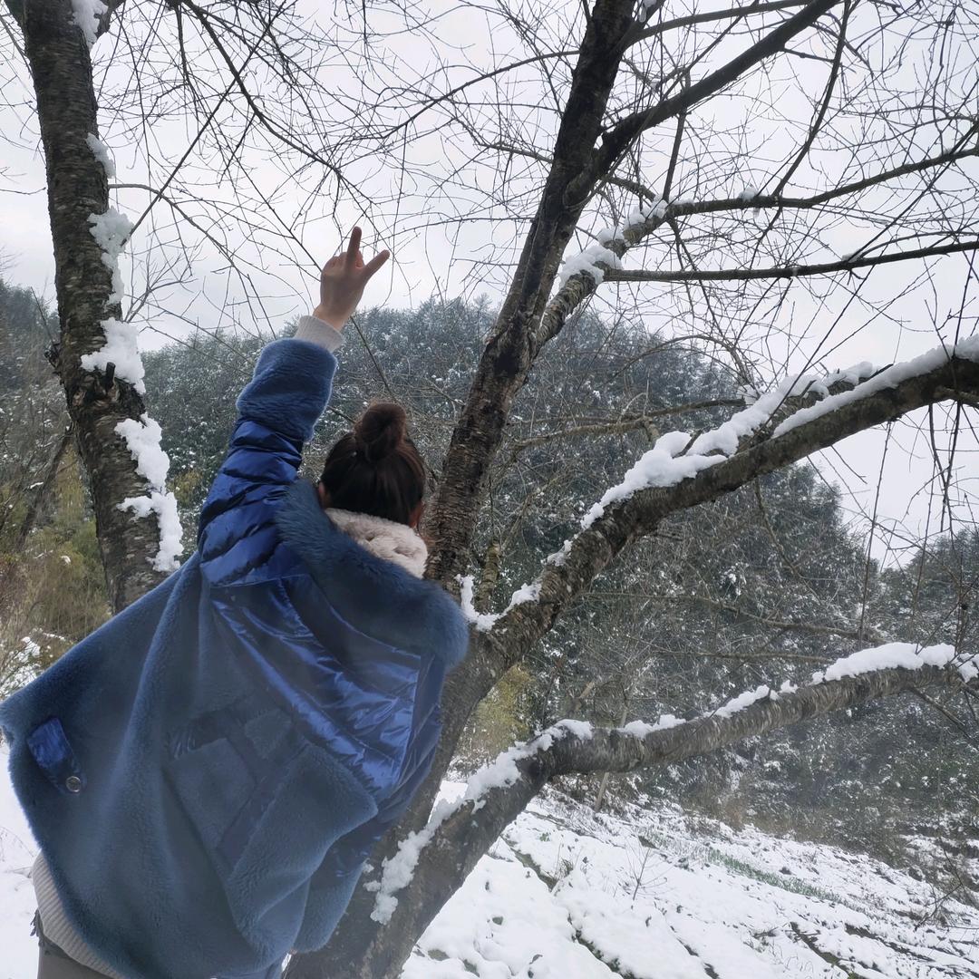 张小红   龙潭土特产快递