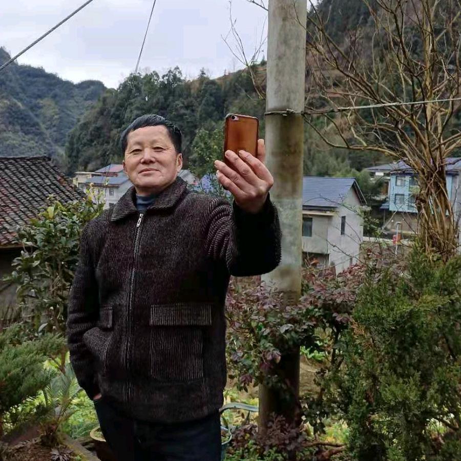 老谢