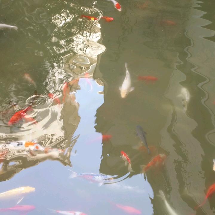 莫笑他人穿破衣