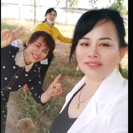 风中百合
