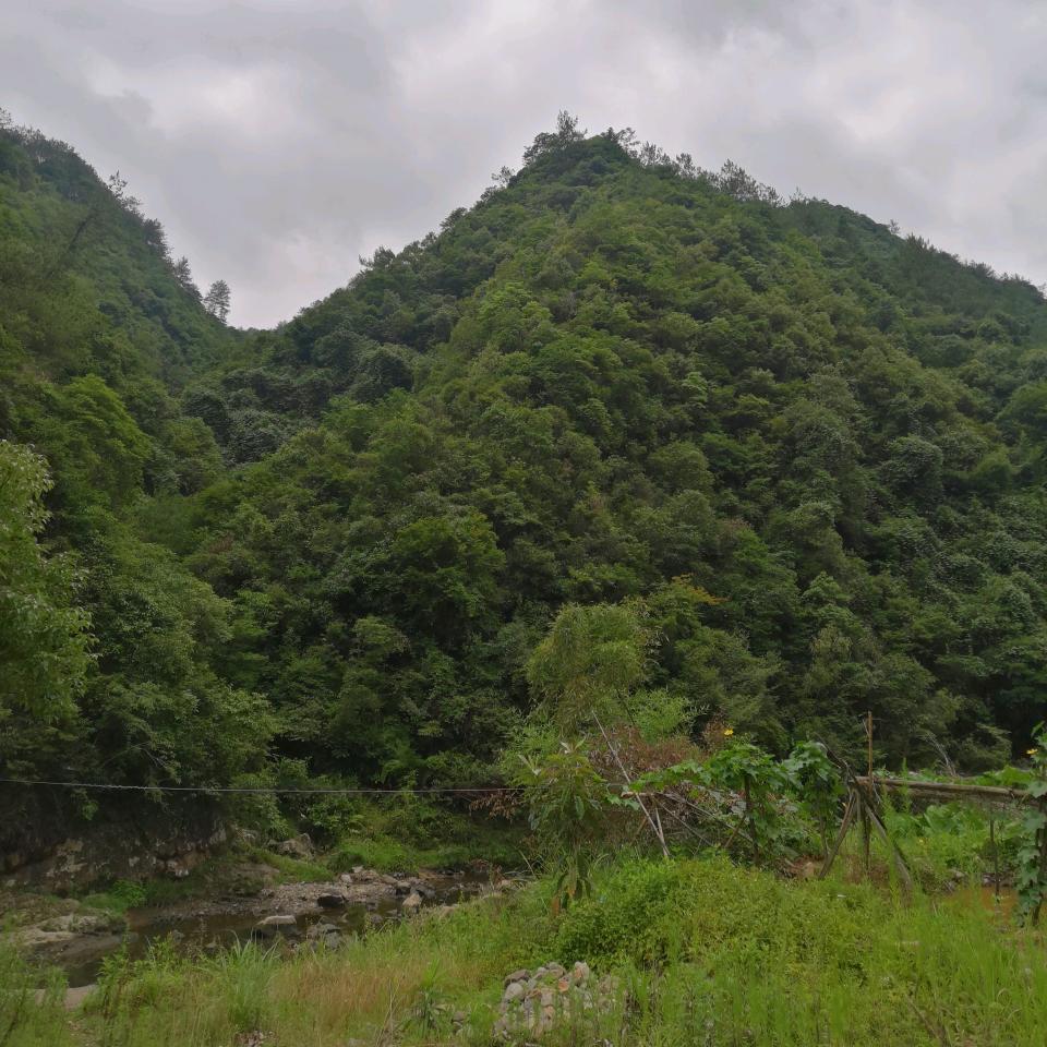 植与你相逢