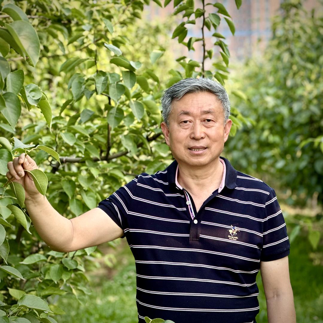 老梨匠李秀根