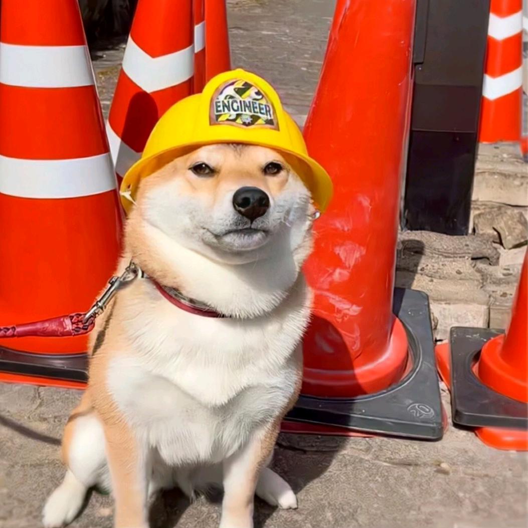 🌈✌(̿▀̿ ̿Ĺ̯̿̿▀̿ ̿)✌