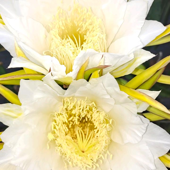 🥀এ᭄累了ꦿ谁💔疼ོ࿐ᩚ