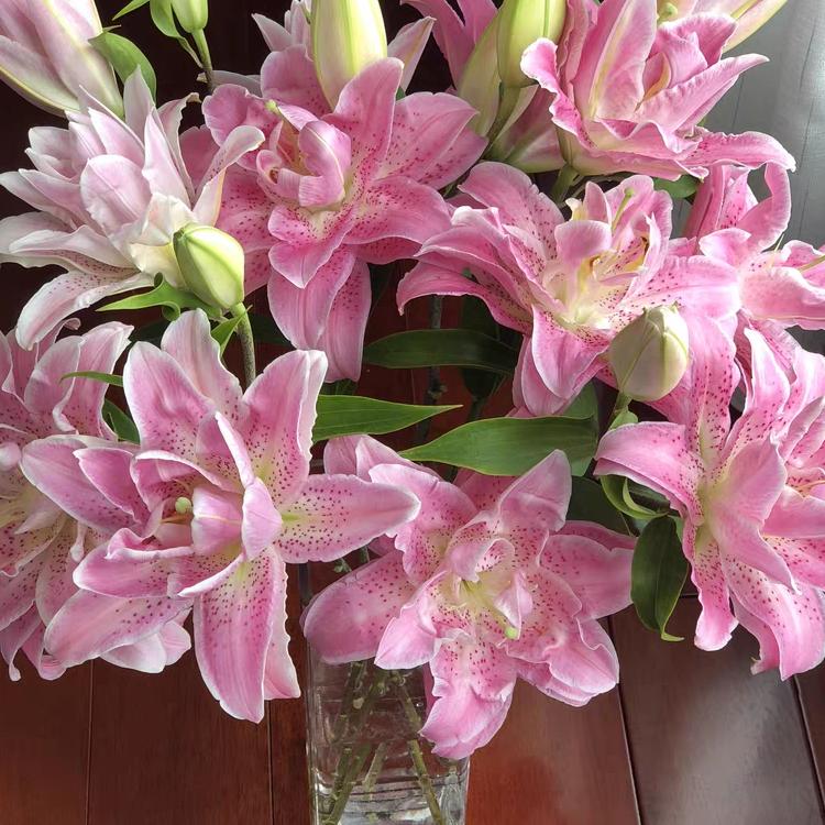 云丽鲜花