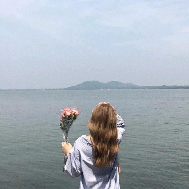 山茶花