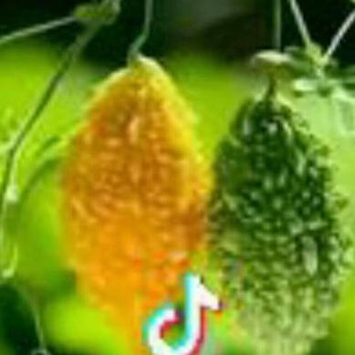 👀心布透（不再回关）