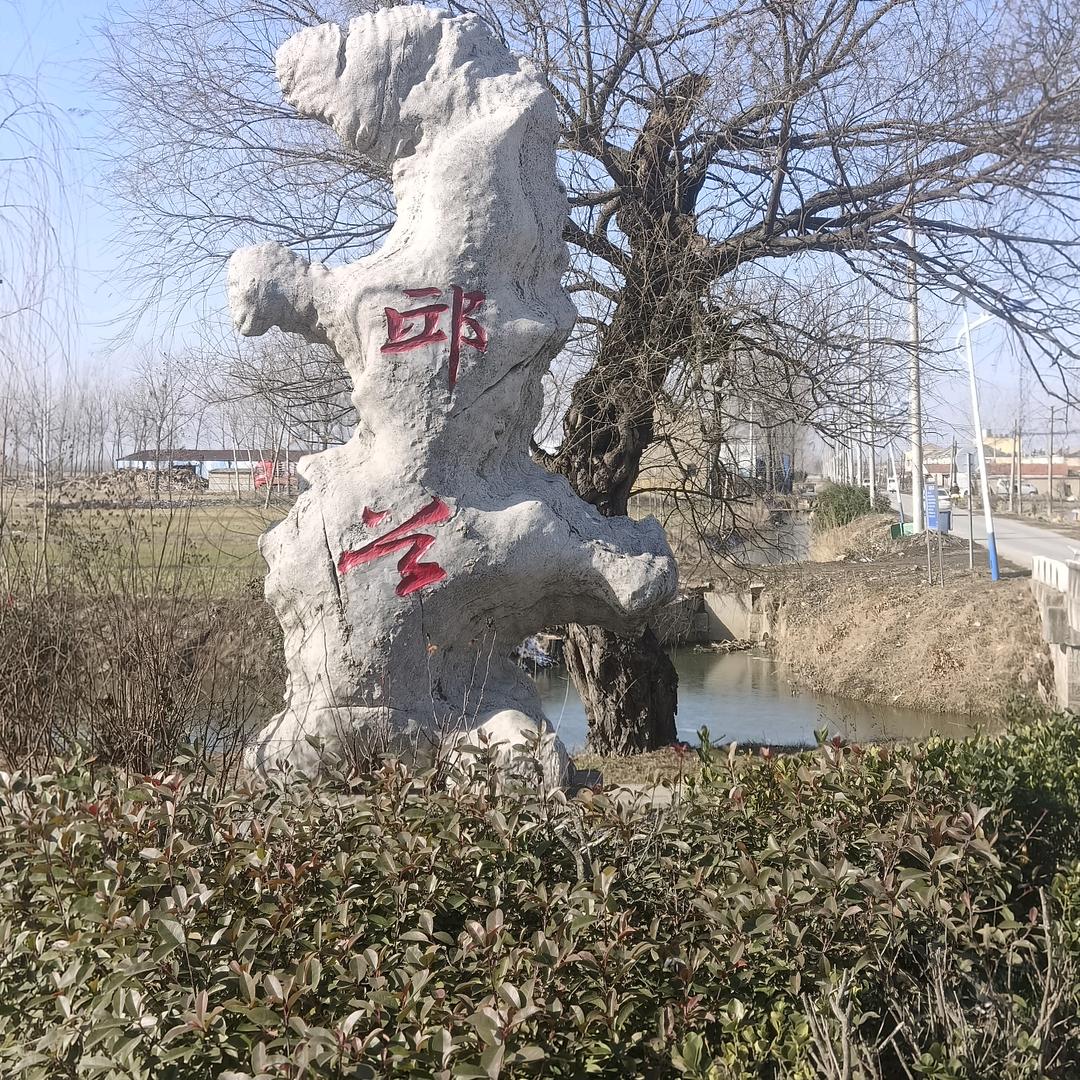 🏀盏中柳色浅🏀