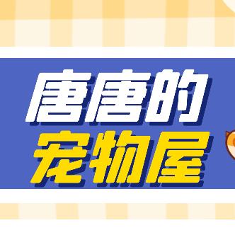 唐唐的宠物屋