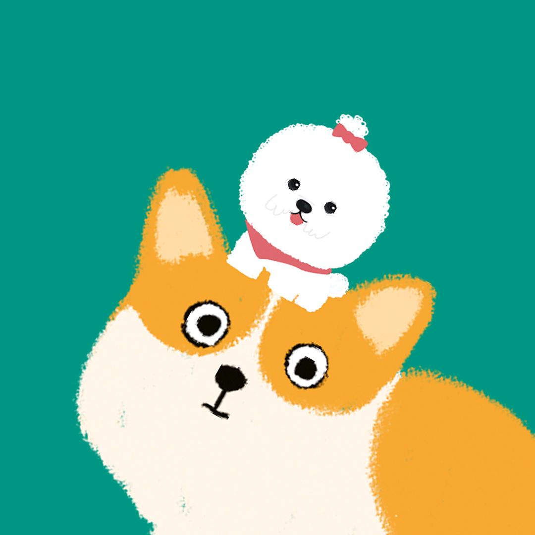 宽城区宠乐汇宠物店